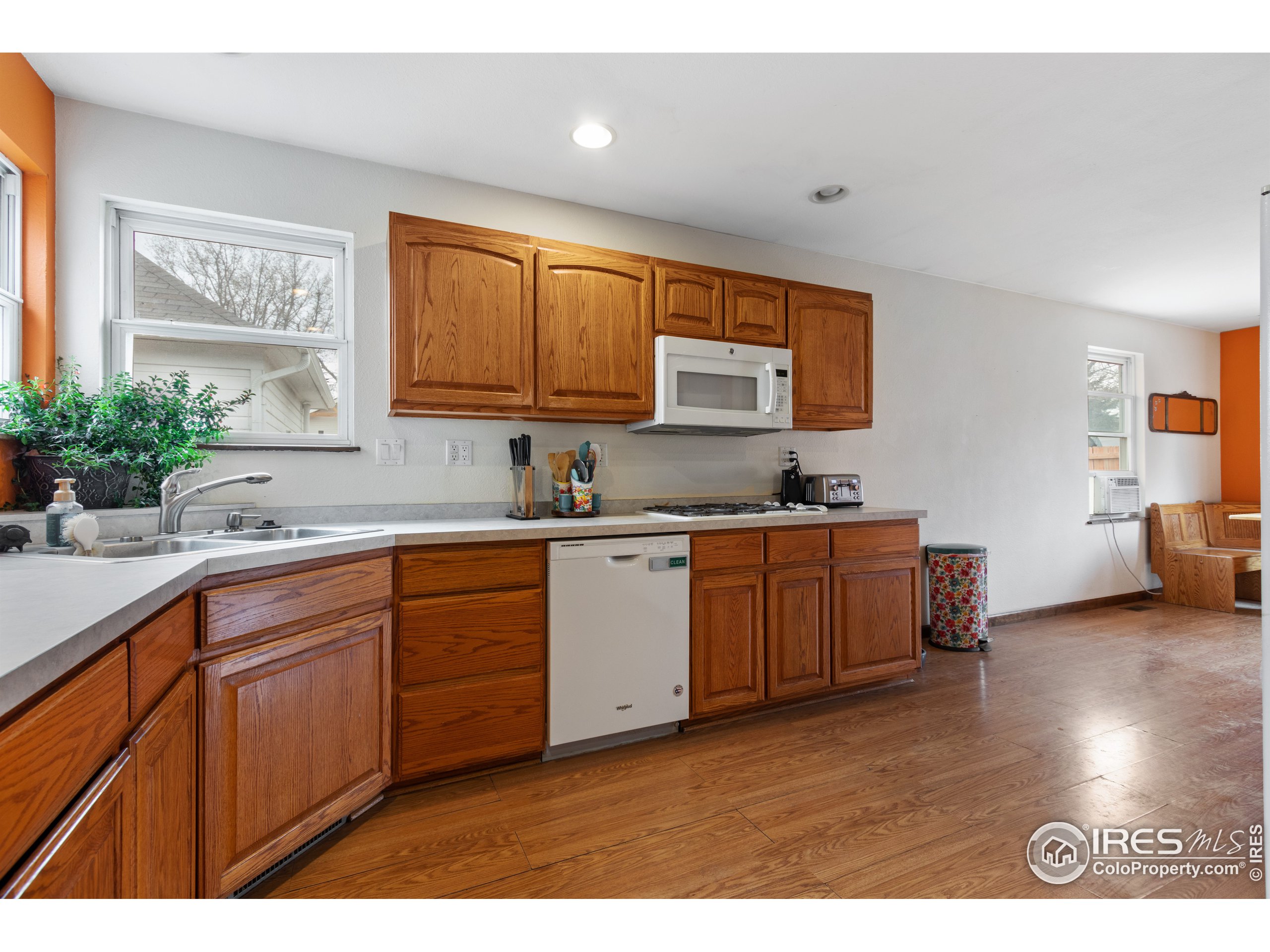 141 5th Street Mead, CO 80542 - Photo 8 of 38