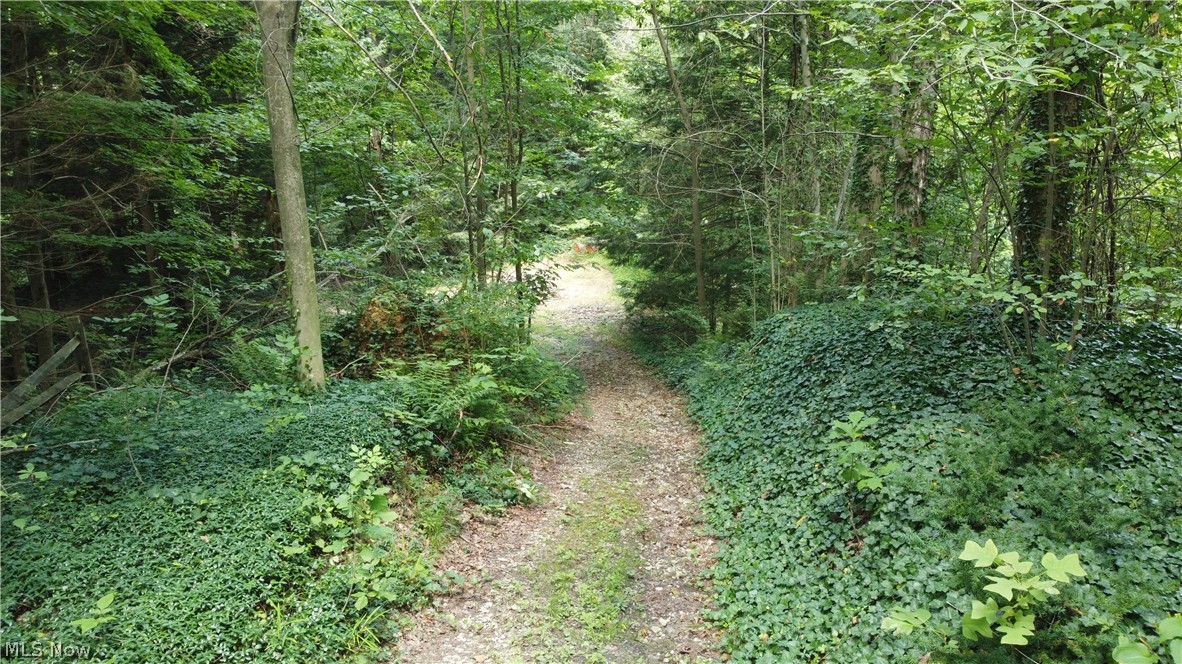 7130 Leroy Thompson Road Thompson, OH 44086 - Photo 26 of 47 Gallery Image 26