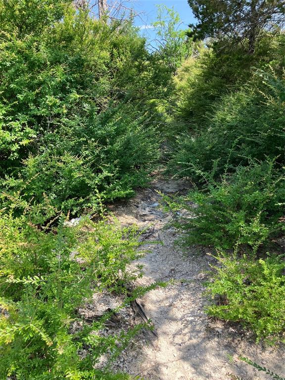 3510 Telephone Road Dallas, TX 75241 - Photo 11 of 37 mostly natural setting
