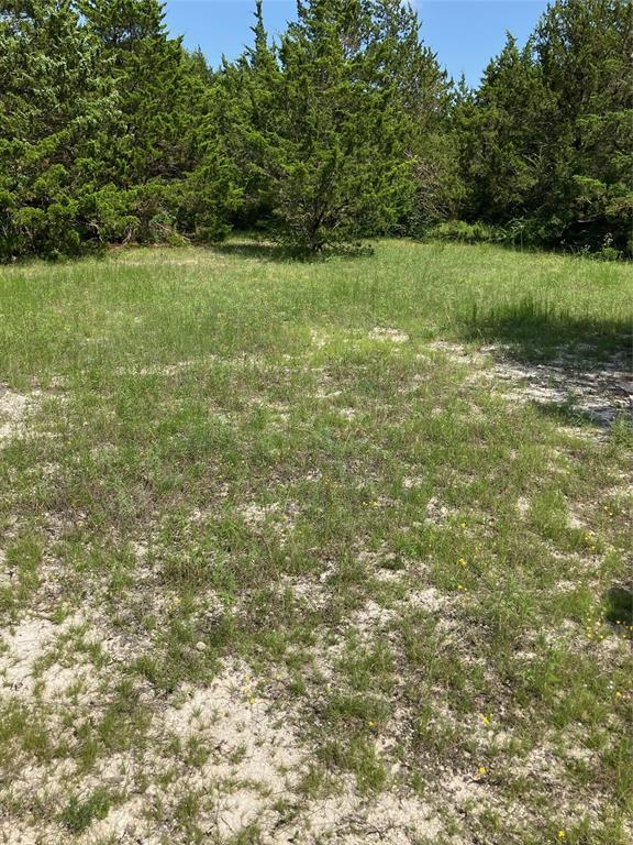 3510 Telephone Road Dallas, TX 75134 - Photo 17 of 34 a view of a green field with wooden fence