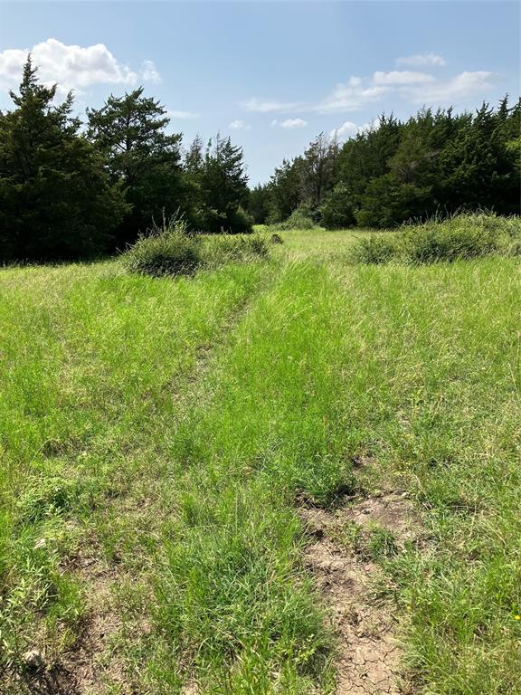 3510 Telephone Road Dallas, TX 75134 - Photo 19 of 34 a view of an outdoor space and a yard