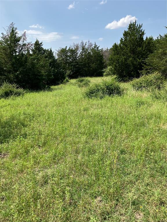 3510 Telephone Road Dallas, TX 75134 - Photo 20 of 34 a view of backyard with green space
