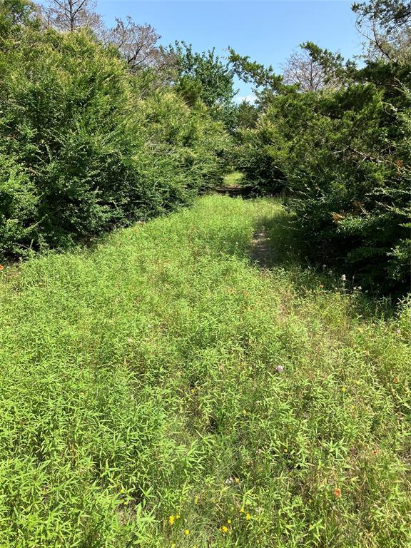 3510 Telephone Road Dallas, TX 75241 - Photo 23 of 37 View of local wilderness