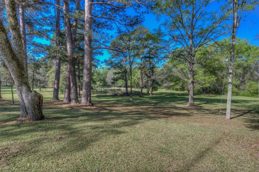 314 Dilly Road Mooringsport, LA 71060 - Photo 14 of 37 a view of a park with large trees