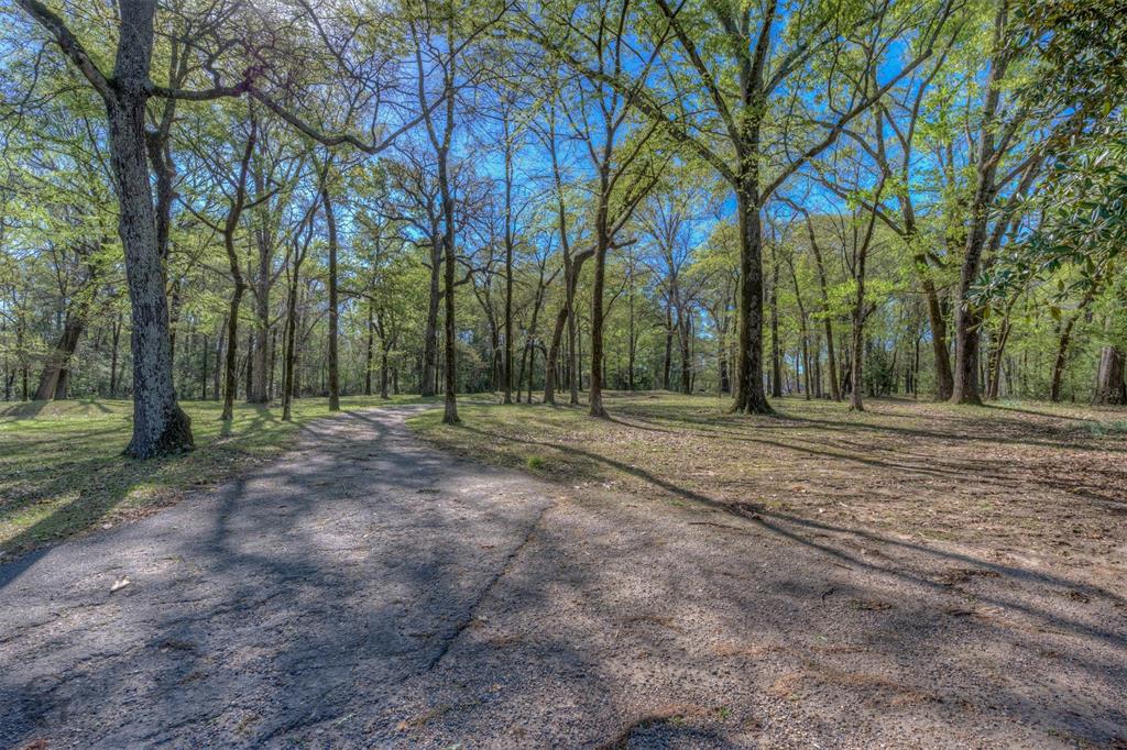 314 Dilly Road Mooringsport, LA 71060 - Photo 28 of 37 a view of outdoor space with trees