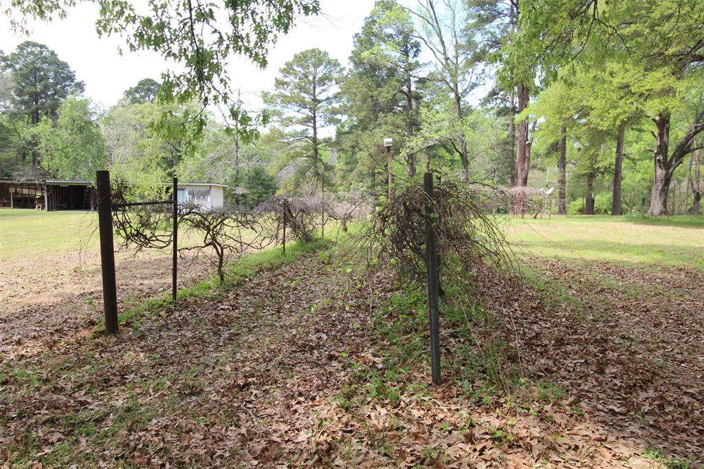 314 Dilly Road Mooringsport, LA 71060 - Photo 30 of 37 a view of a yard with lots of trees