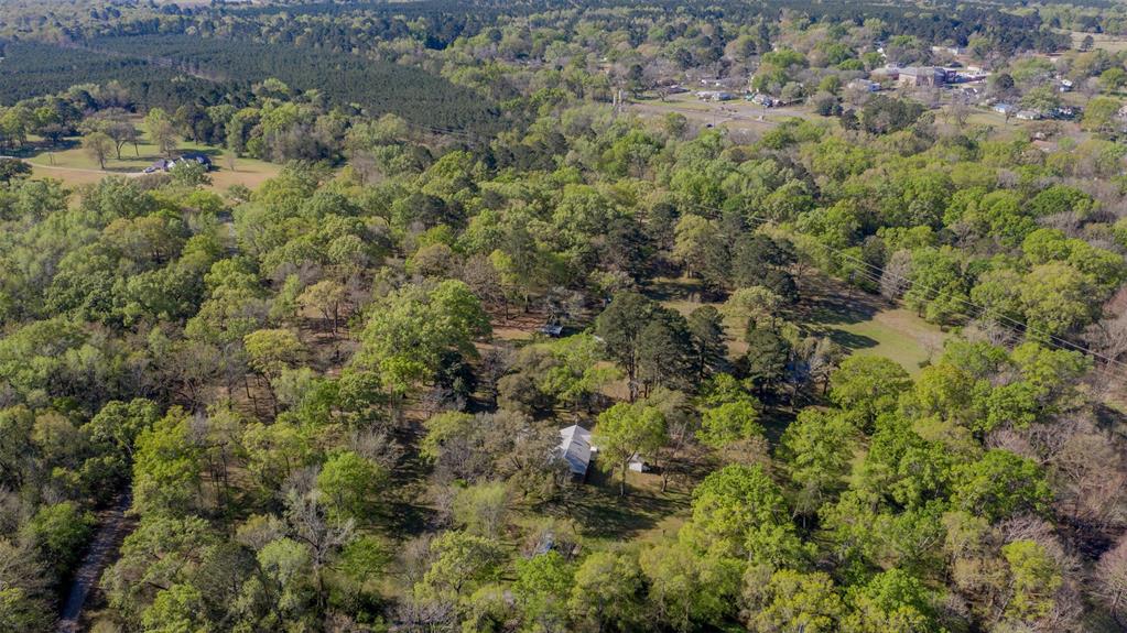 314 Dilly Road Mooringsport, LA 71060 - Photo 35 of 37 a view of a lot of trees and bushes