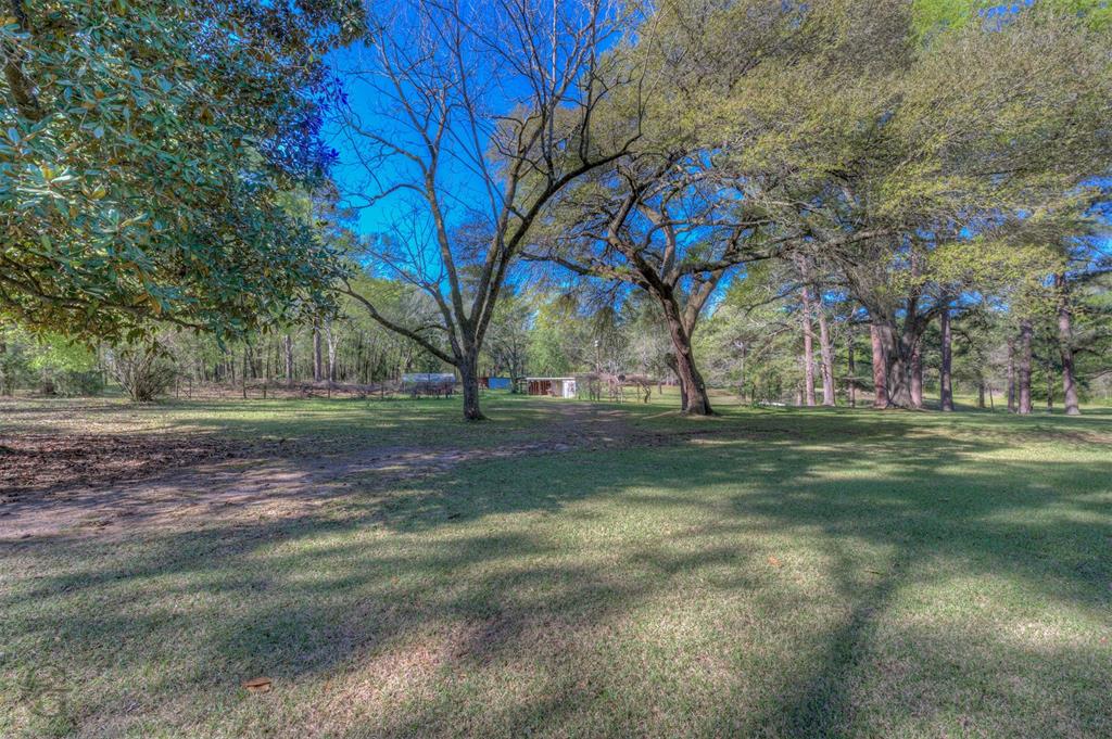 314 Dilly Road Mooringsport, LA 71060 - Photo 5 of 37 a view of yard with trees