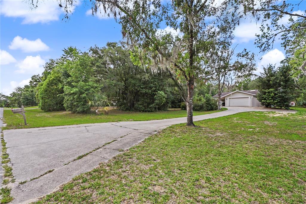 20250 Southwest 93rd Lane Road Dunnellon, FL 34431 - Photo 2 of 49
