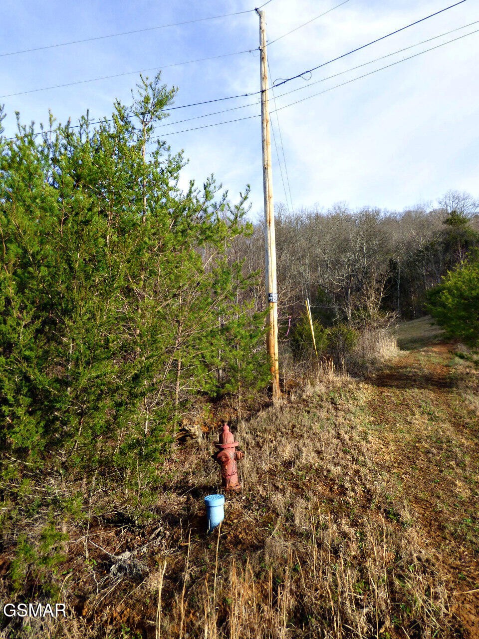 1 Mutton Hollow Road Jefferson City, TN 37760 - Photo 6 of 6 Gallery Image 6