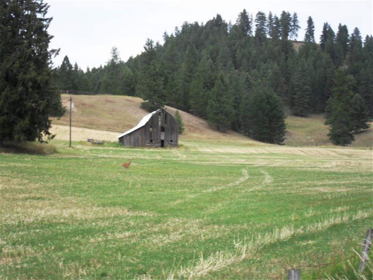 1026 A Basin Road Colville, WA 99114 - Photo 18 of 19