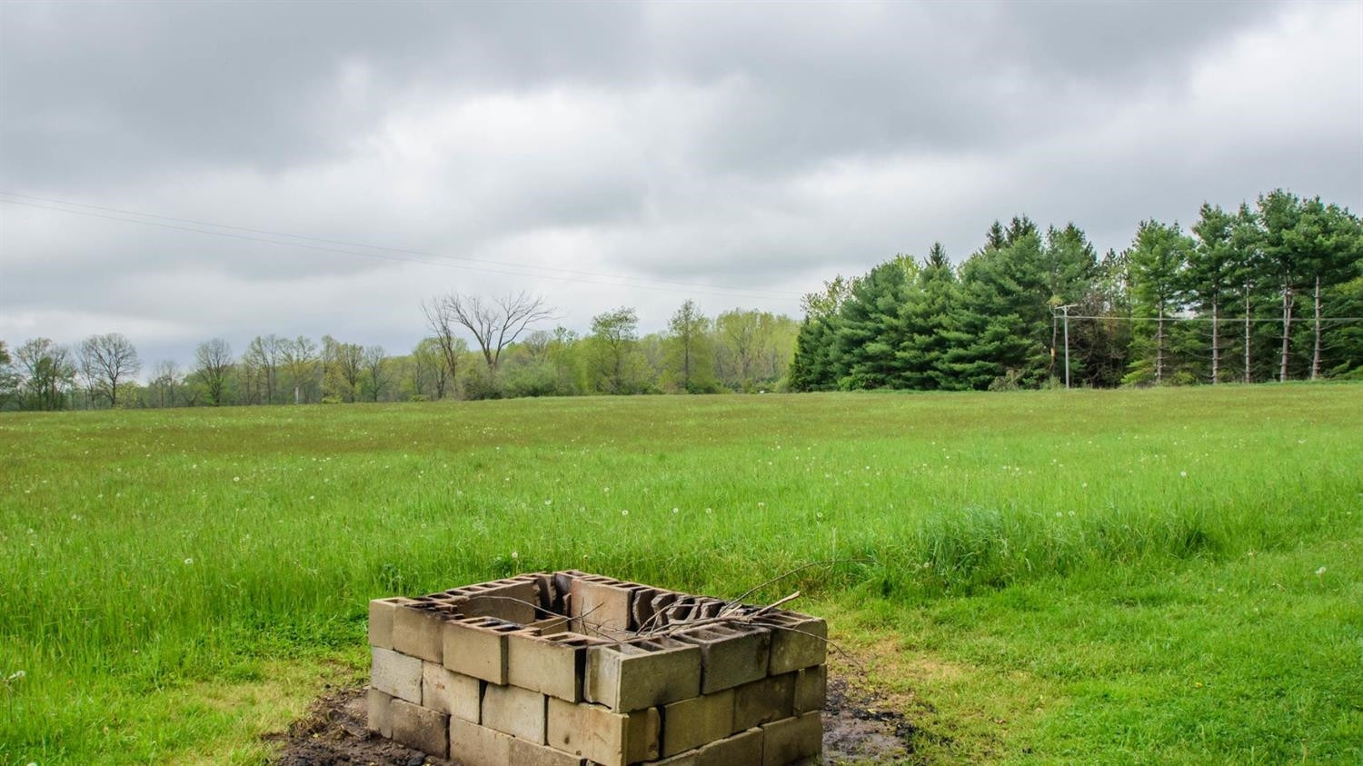 1445 South Fletcher Road Chelsea, MI 48118 - Photo 48 of 61 Photo 48