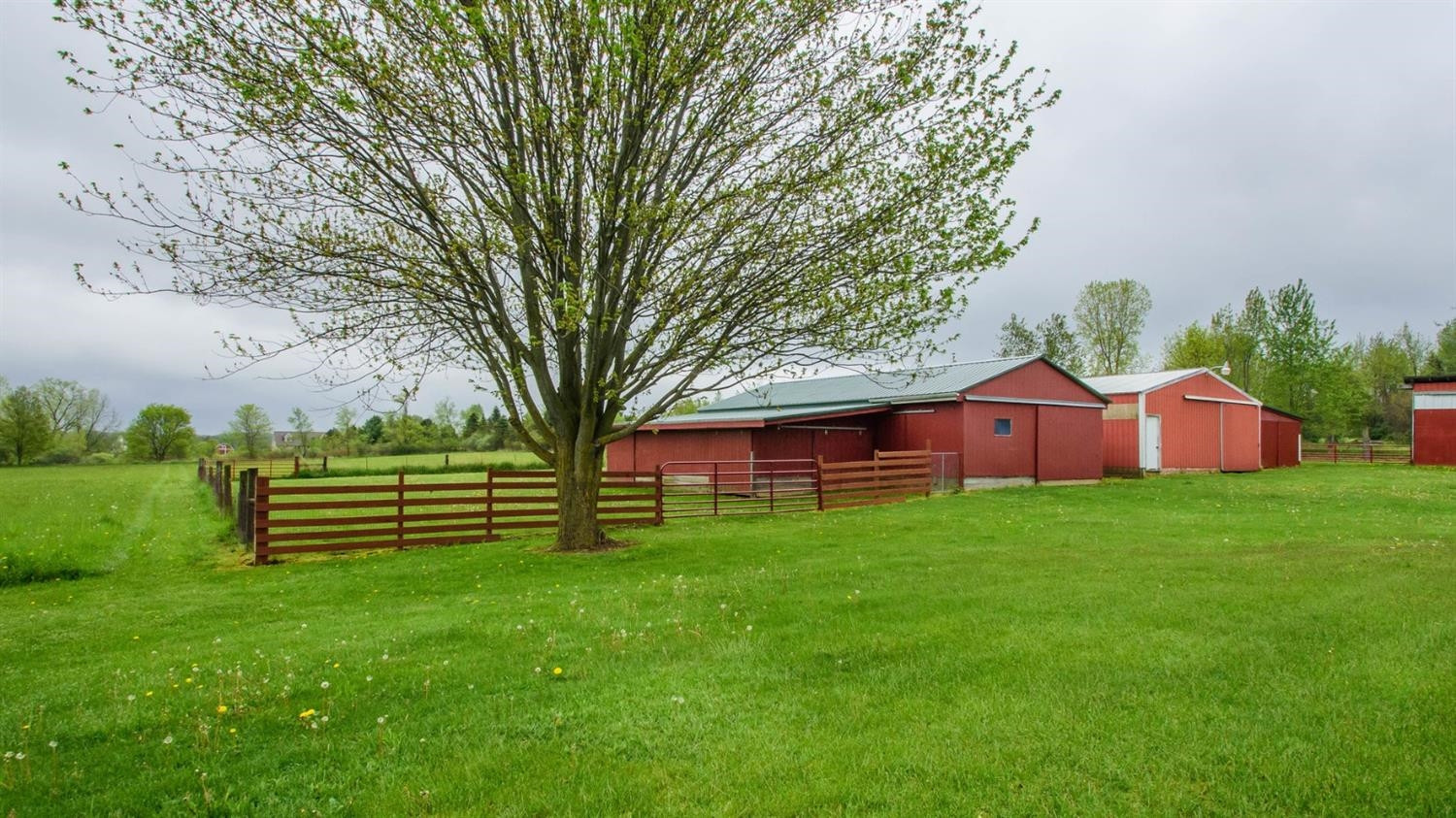 1445 South Fletcher Road Chelsea, MI 48118 - Photo 50 of 61 Photo 50