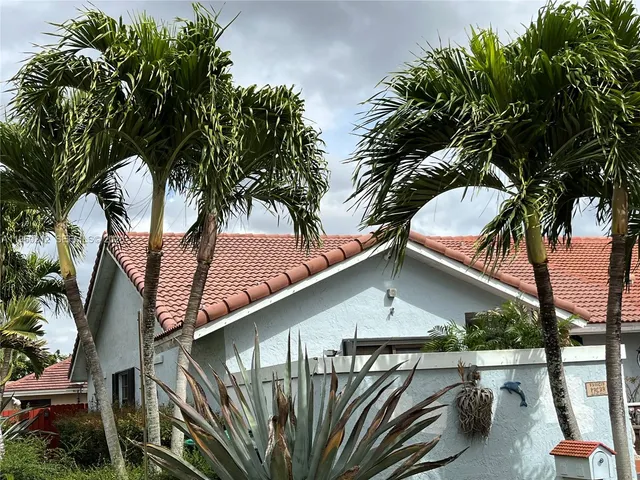 a view of a house with a palm tree