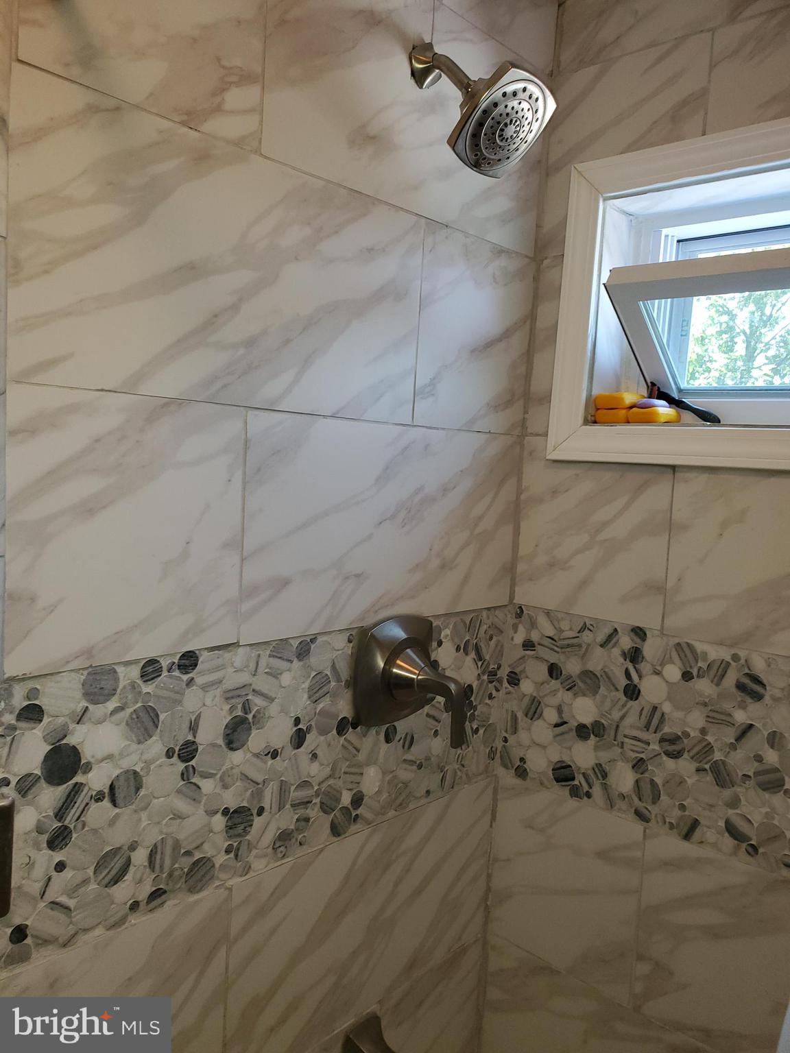 3083 South Congress Road Camden, NJ 08104 - Photo 15 of 22 Shower close-up