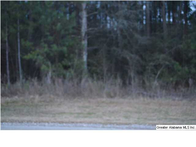 Covered Bridge Road Cleveland, AL 35049 - Photo 6 of 6
