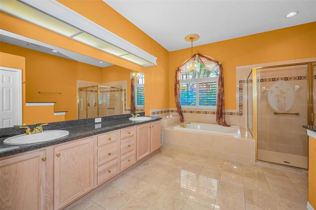 11917 Hadleigh Way Trinity, FL 34655 - Photo 27 of 84 a spacious bathroom with a granite countertop sink a mirror and a shower