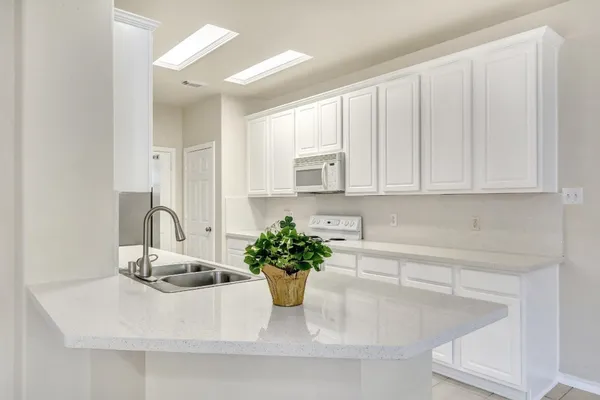 a close view of a sink a potted plant and cabinets