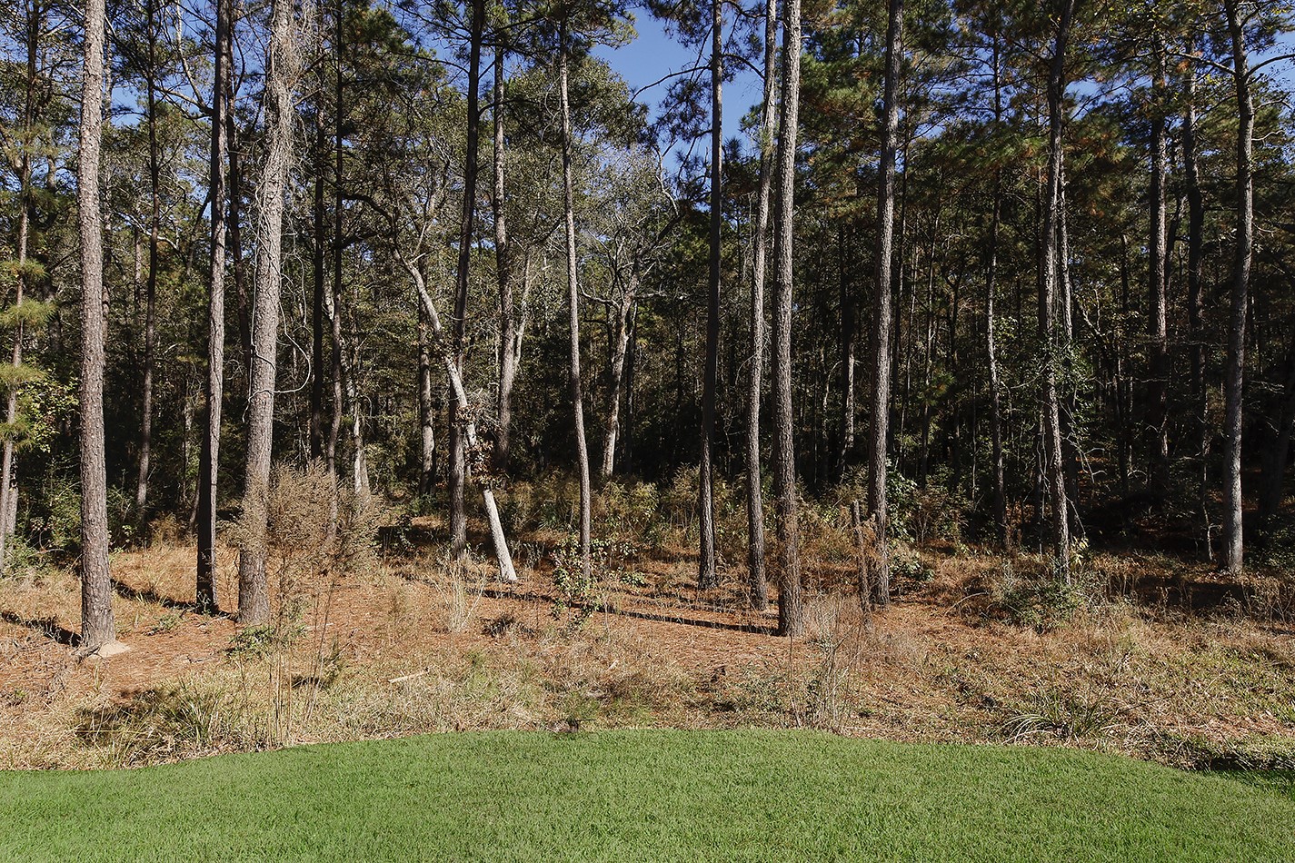 630 Lonestar Road Huntsville, TX 77340 - Photo 44 of 48 a view of outdoor space with sink and green space