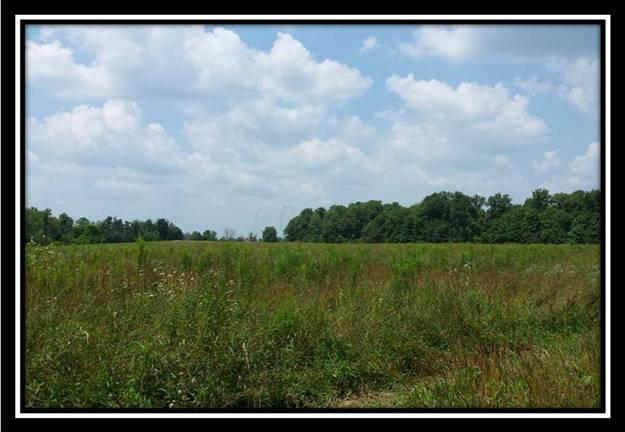 17492 Stub Road Fredericktown, OH 43019 - Photo 6 of 10 Gallery Image 6