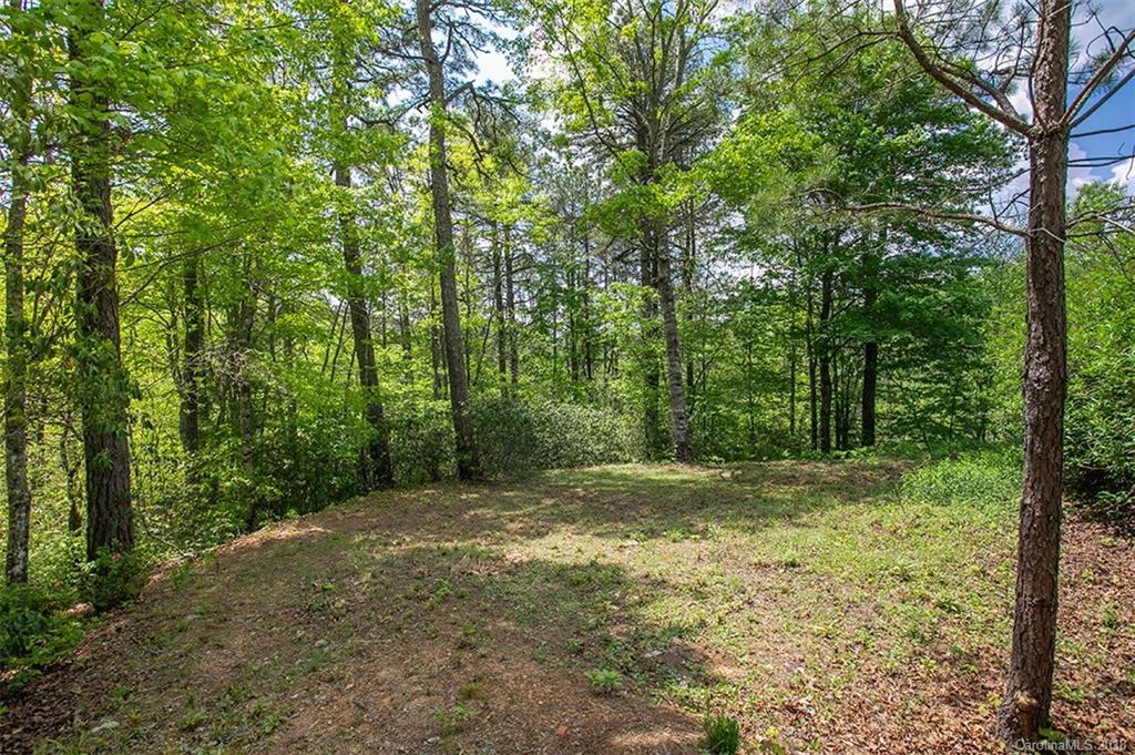 296 Dead Fall Branch Road Rosman, NC 28772 - Photo 29 of 34 Gallery Image 29