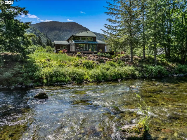 a view of a large garden with large trees