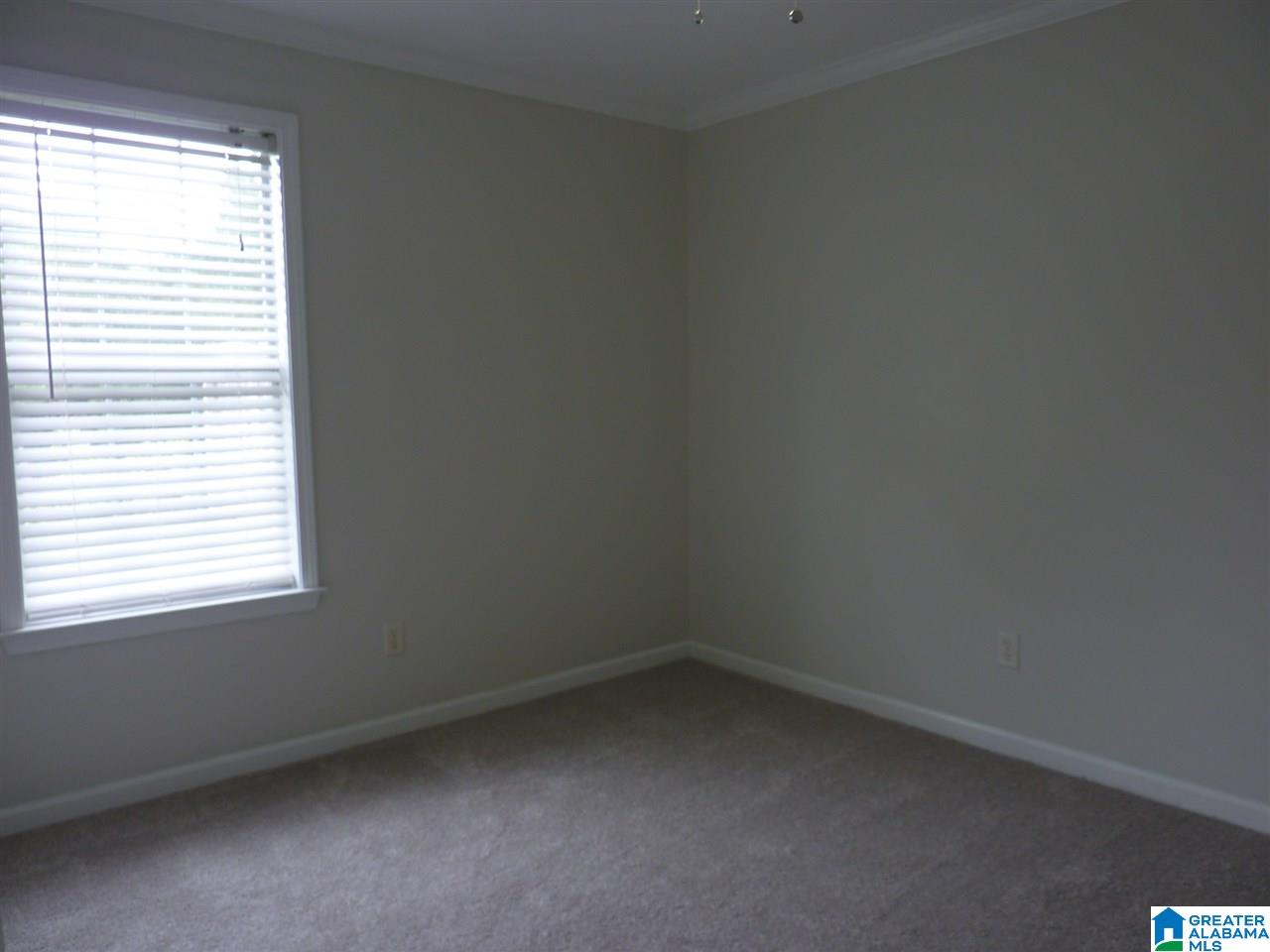 738 Shelby Forest Trail Chelsea, AL 35043 - Photo 19 of 29