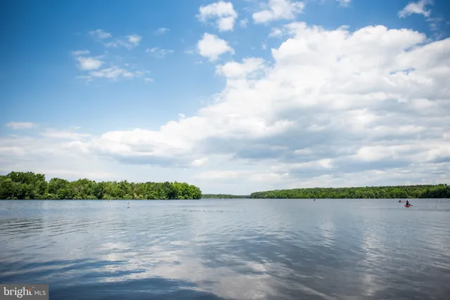 a view of a lake from a yard
