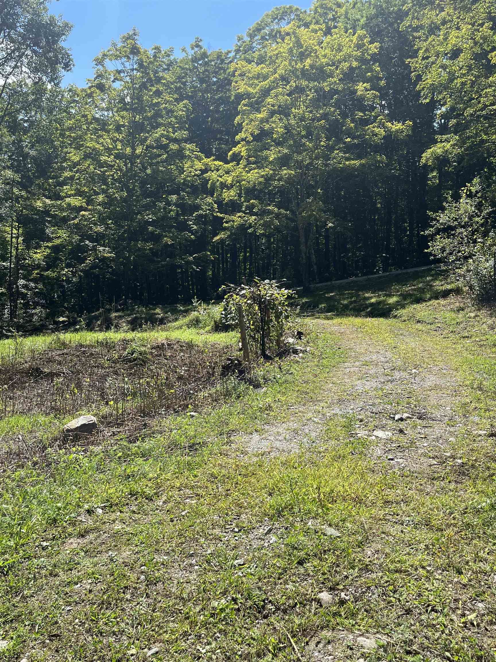 180 Austin Hill Road Rochester, VT 05767 - Photo 31 of 48