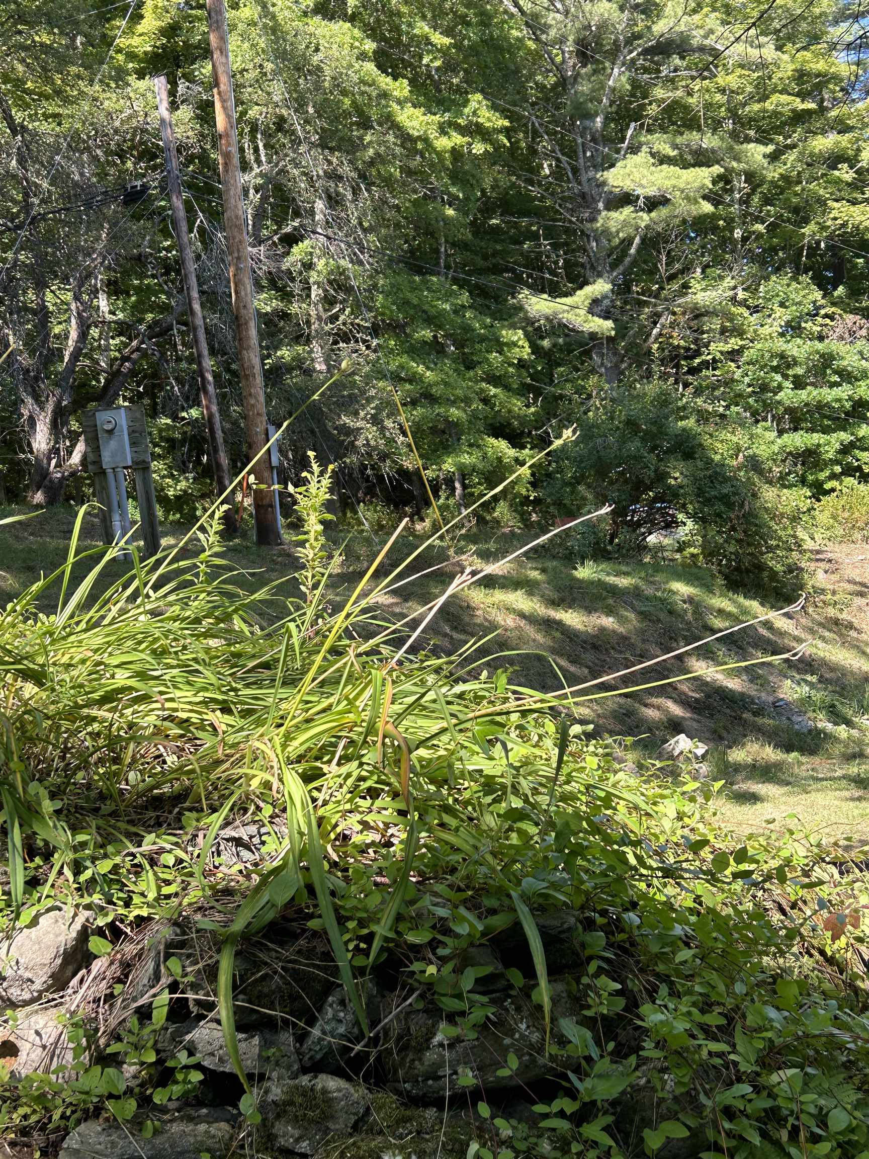 180 Austin Hill Road Rochester, VT 05767 - Photo 40 of 48