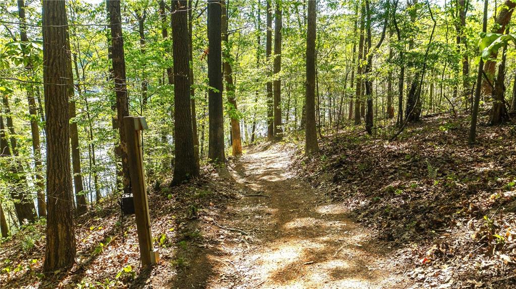 4650 Perry Road Gainesville, GA 30506 - Photo 34 of 41 a view of outdoor space and trees