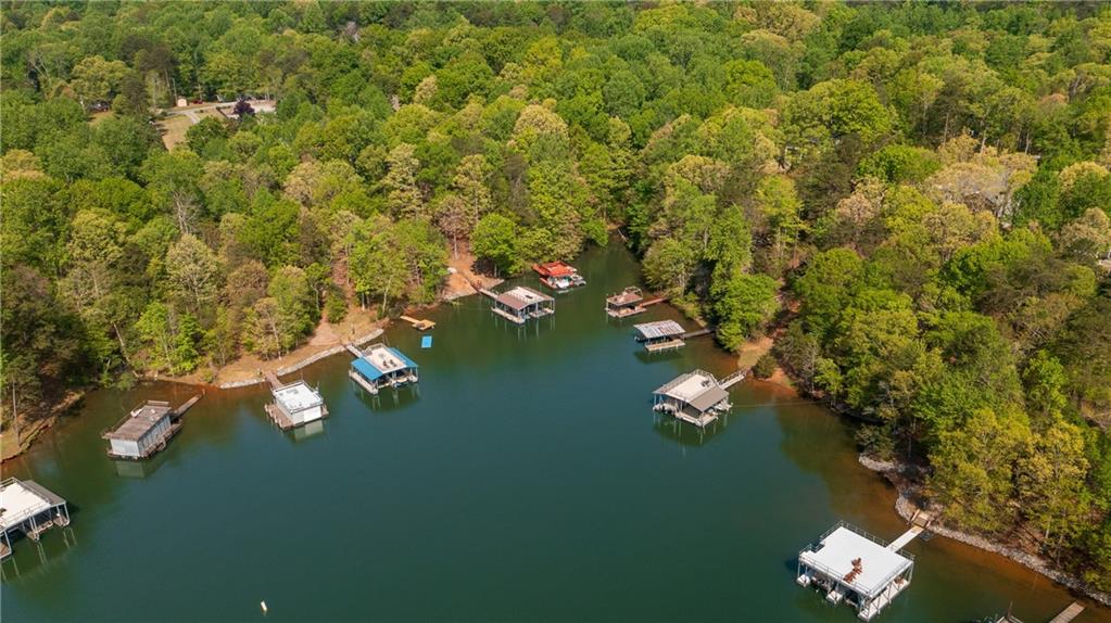 4650 Perry Road Gainesville, GA 30506 - Photo 38 of 41 an aerial view of a houses with yard