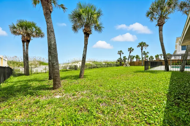 a view of a garden with a tree
