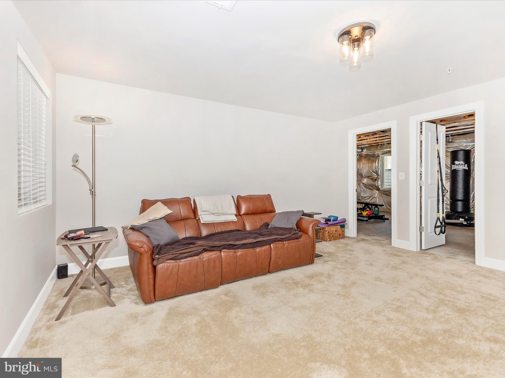 12208 West Old Baltimore Road Boyds, MD 20841 - Photo 36 of 47 Lower Level