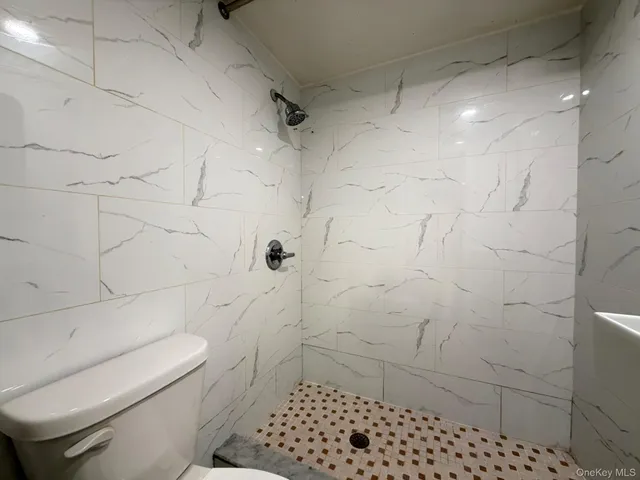 a bathroom with a toilet and a shower