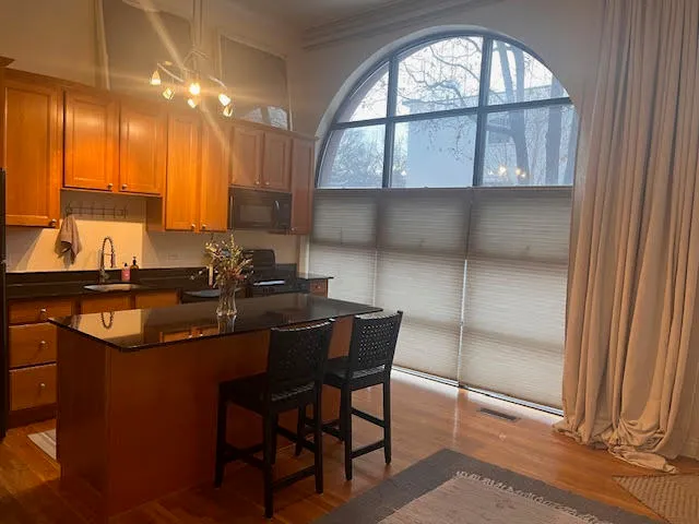 $2,600 | 1707 North Paulina Street, Unit 102, Chicago, IL 60622