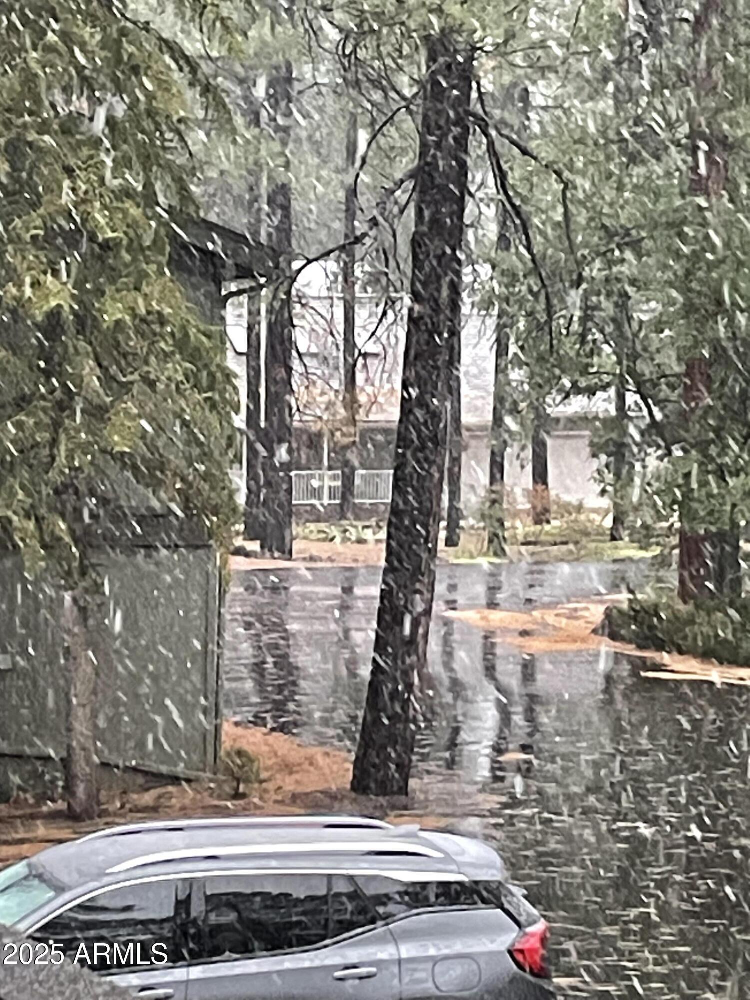 4479 Resort Loop, Unit A21 Pinetop, AZ 85935 - Photo 3 of 12 a view of a yard with large trees