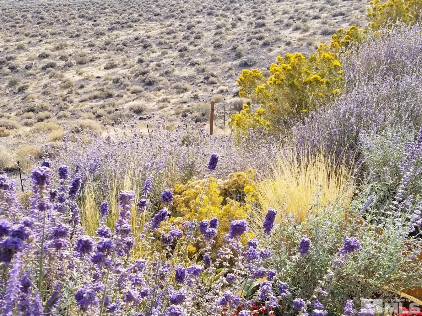 2330 Hillcrest Road Fernley, NV 89408 - Photo 35 of 40 wildflowers