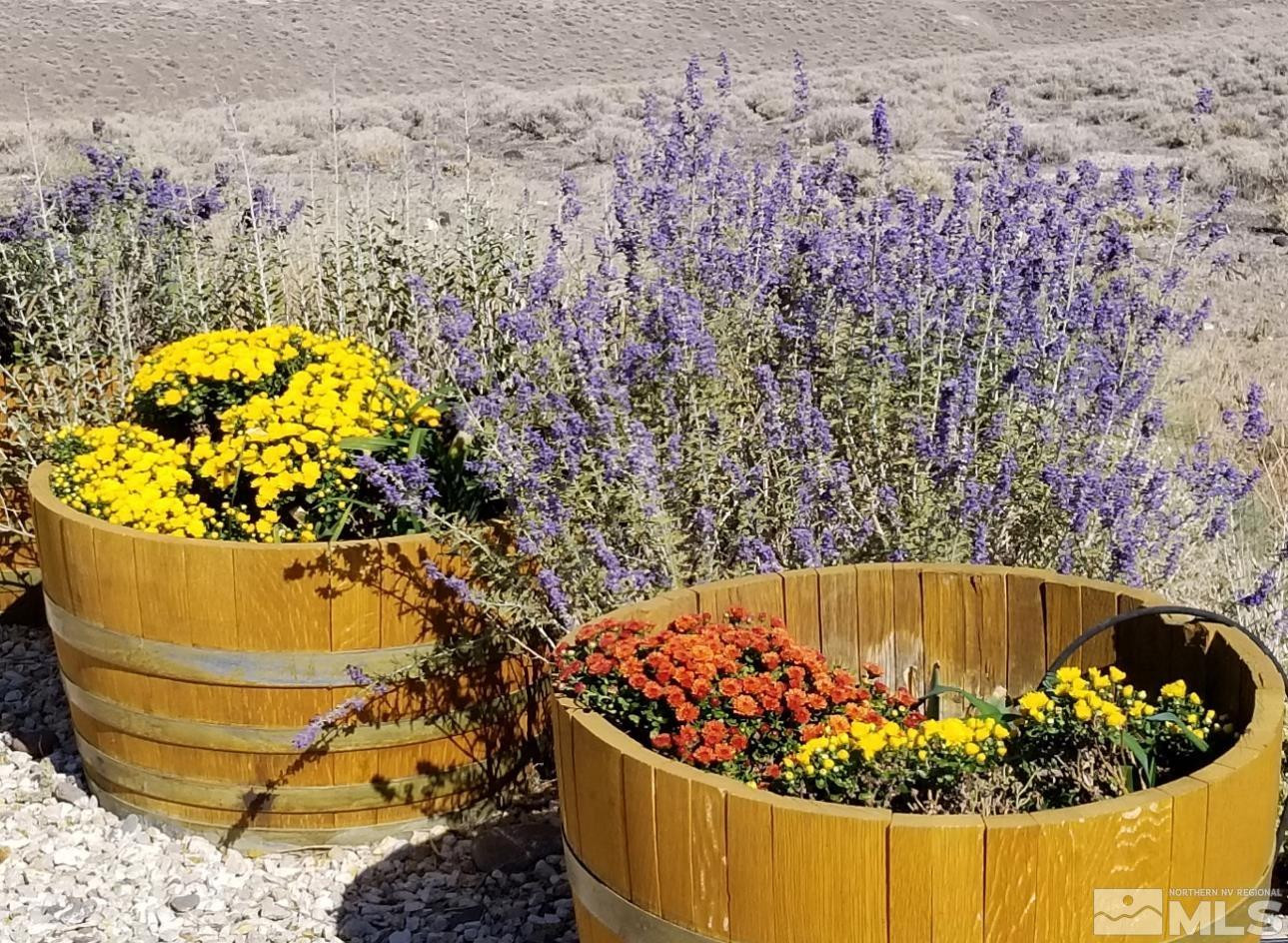 2330 Hillcrest Road Fernley, NV 89408 - Photo 37 of 40 potted flowers on drip