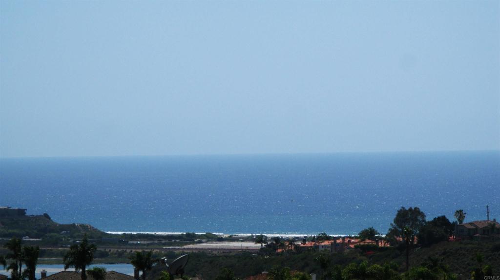 7205 Daffodil Place Carlsbad, CA 92011 - Photo 52 of 52 View from deck
