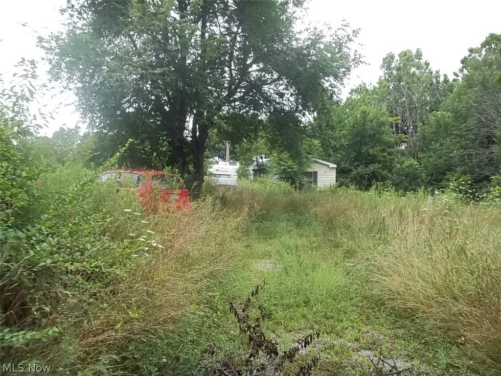 43800 Bell Road Lisbon, OH 44432 - Photo 6 of 6 Gallery Image 6