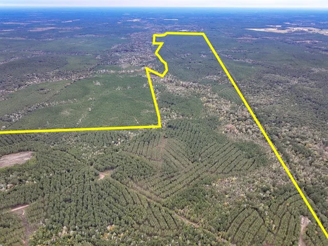 $1,730,865 | 0 Off Fm 1746, Woodville, TX 75979