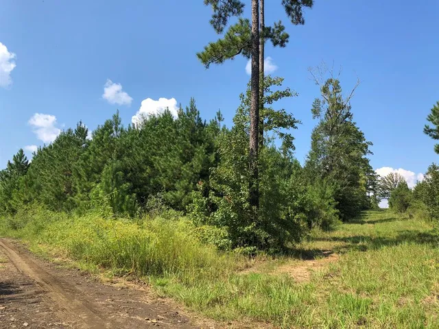 $1,730,865 | 0 Off Fm 1746, Woodville, TX 75979