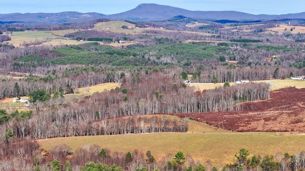 Tbd Dry Twig Road Laurel Fork, VA 24352 - Photo 12 of 13 Gallery Image 12