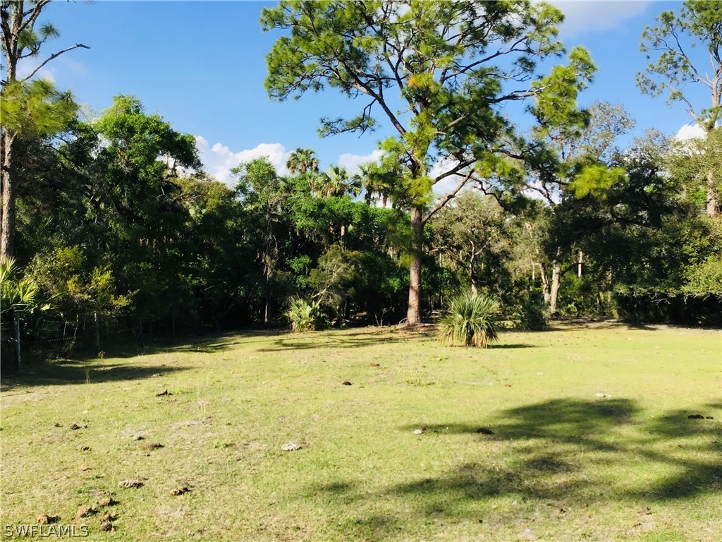 15291 Broken J Ranch Road Fort Myers, FL 33905 - Photo 25 of 33 a view of a yard with a tree