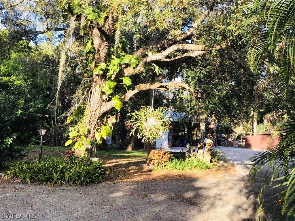 15291 Broken J Ranch Road Fort Myers, FL 33905 - Photo 3 of 33 a view of a yard with large trees