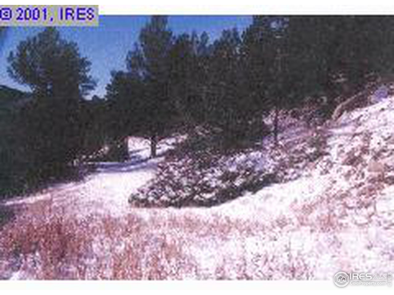 0 Indiana Gulch Road Ward, CO 80481 - Photo 1 of 2 a view of a yard with trees in the background