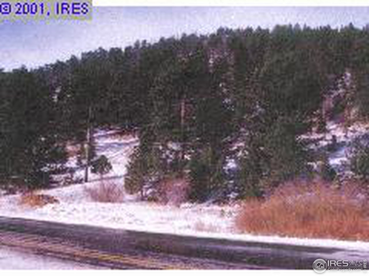 0 Indiana Gulch Road Ward, CO 80481 - Photo 2 of 2 a view of a yard