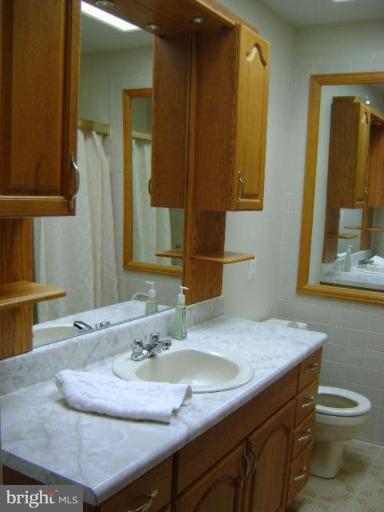 326 Old Joppa Road Fallston, MD 21047 - Photo 21 of 30 Hallway bath has lots of cabinets and full tub