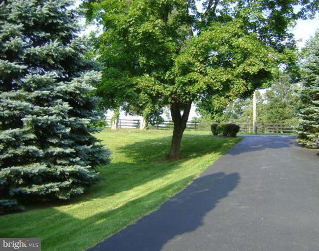 326 Old Joppa Road Fallston, MD 21047 - Photo 5 of 30 Long paved driveway w/room for many cars.